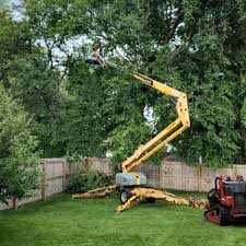 Best Tree Risk Assessment  in Rossmoor, CA