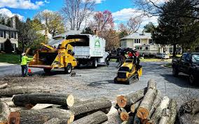 Best Arborist Consultation Services  in Rossmoor, CA